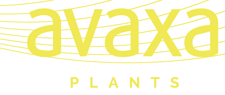 Avaxa Plants