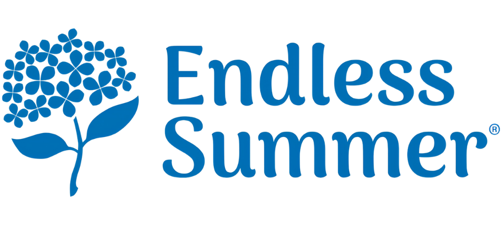 Endless Summer Hydrangea
