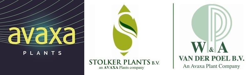 Avaxa Plants, Stolker Plants og Van der Poel B.V.