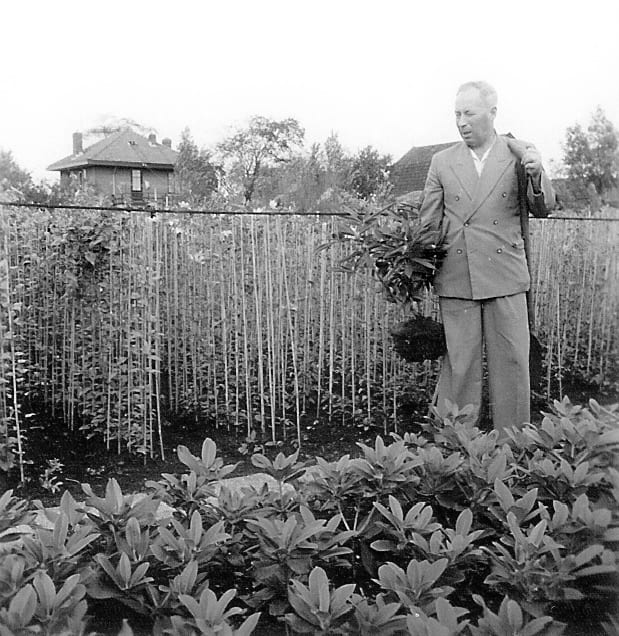 Historisk sort-hvid-foto af planteskolen, som Avaxa Plants er udsprunget af.