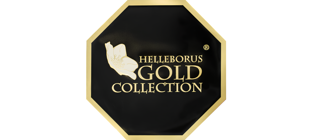 Gold Collection Helleborus