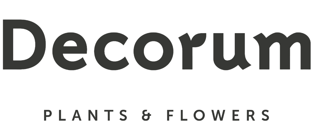 Decorum Plants